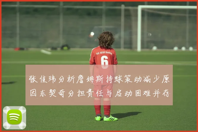 张佳玮分析詹姆斯持球策动减少原因东契奇分担责任与启动困难并存