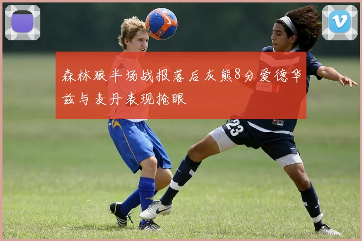 森林狼半场战报落后灰熊8分爱德华兹与麦丹表现抢眼