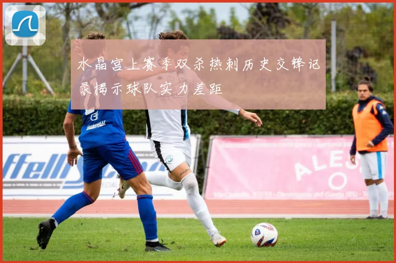 水晶宫上赛季双杀热刺历史交锋记录揭示球队实力差距